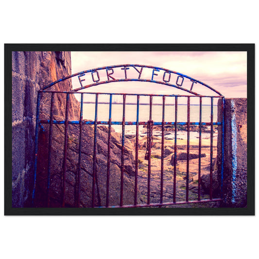 Forty Foot Gate Swimming Sandycove Framed Wall Art Print